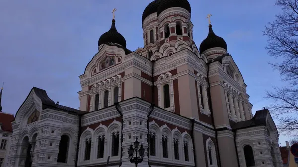 Tallinn Under the Horns — Gallery 1
