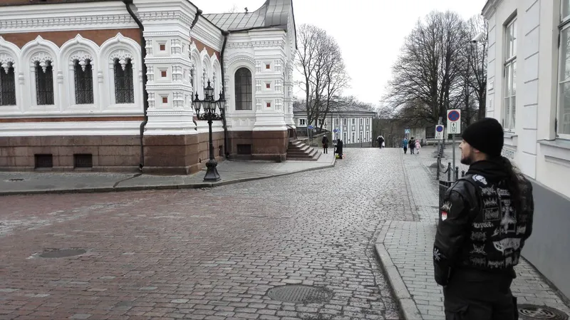 Tallinn Under the Horns